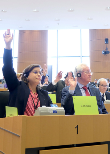 Sara Cerdas defende sanções mais pesadas para crimes de poluição nos mares europeus