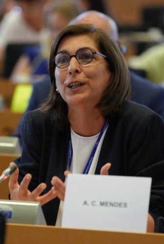 Ana Catarina Mendes Vice-presidente dos Socialistas e Democratas