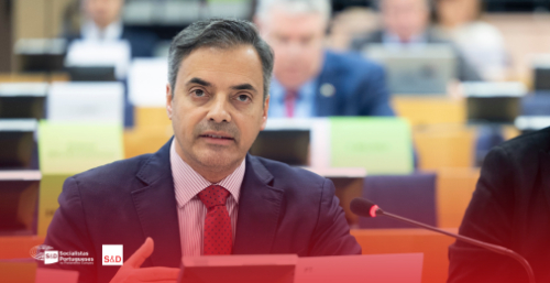 Gronelândia. Eurodeputado expressa "preocupação" perante "retórica belicista" de Trump